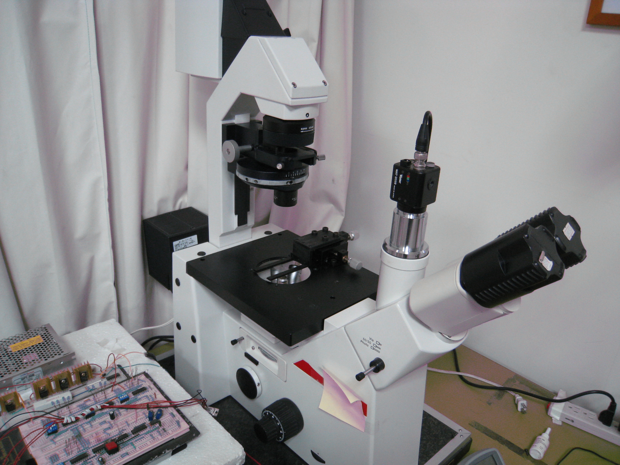 Laser Capture Microdissection (LCM)