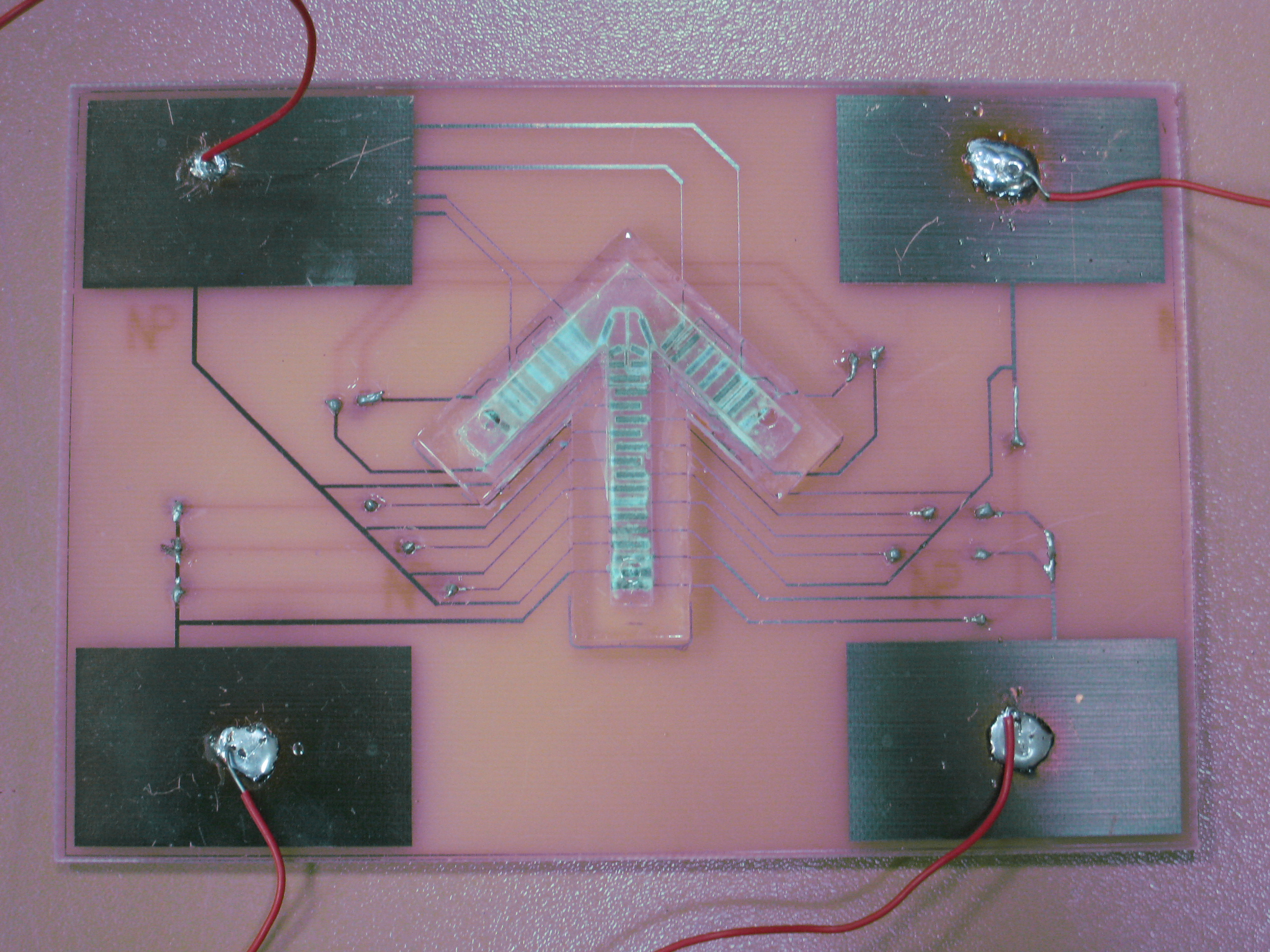 微電流晶片與電極配置